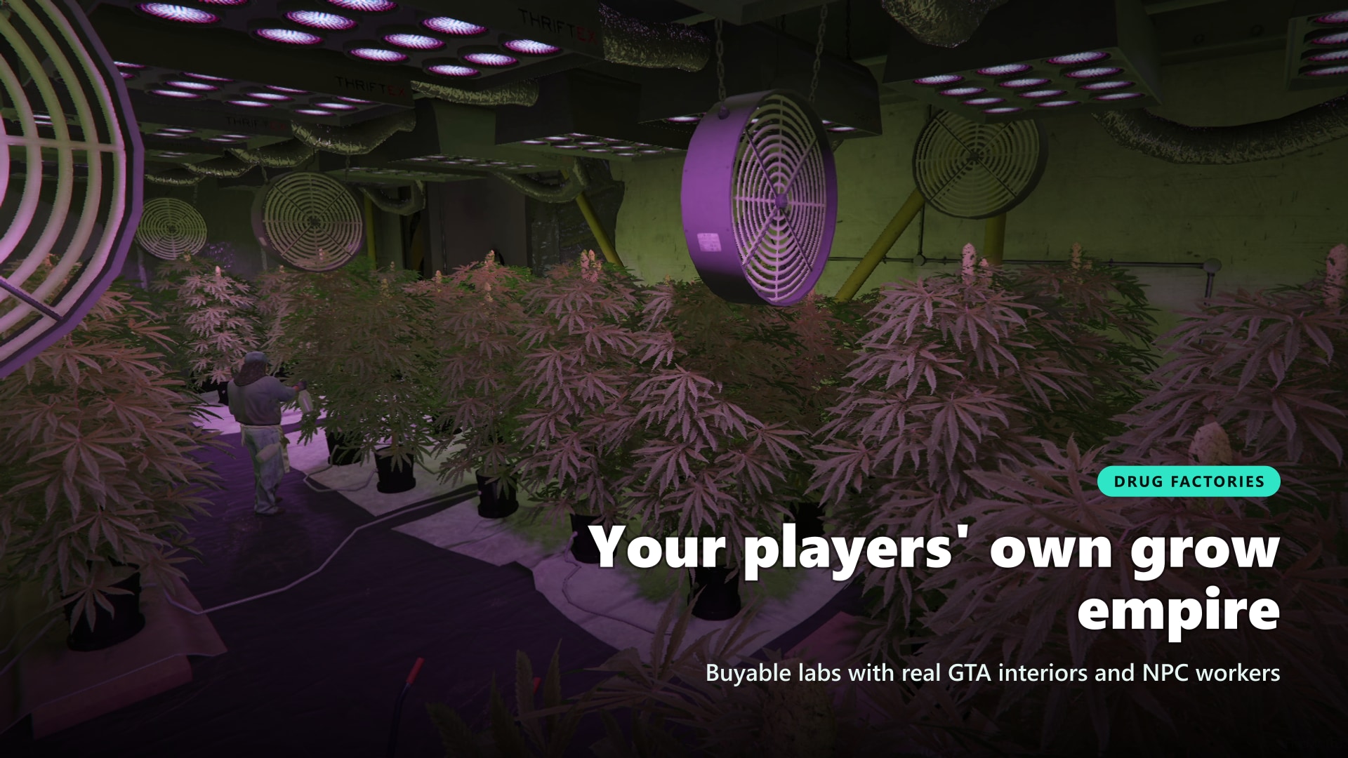 Grow room